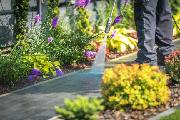 Best Parking Lot Cleaning in Farley, KY